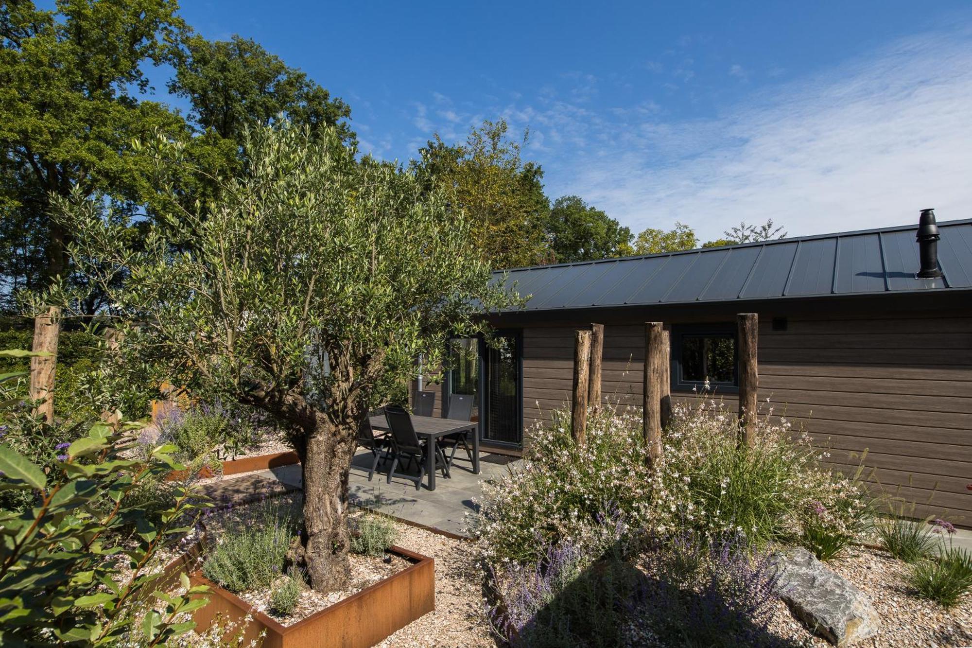 Modern Ingericht Chalet Op Groen Park Op De Veluwe Epe Exterior photo