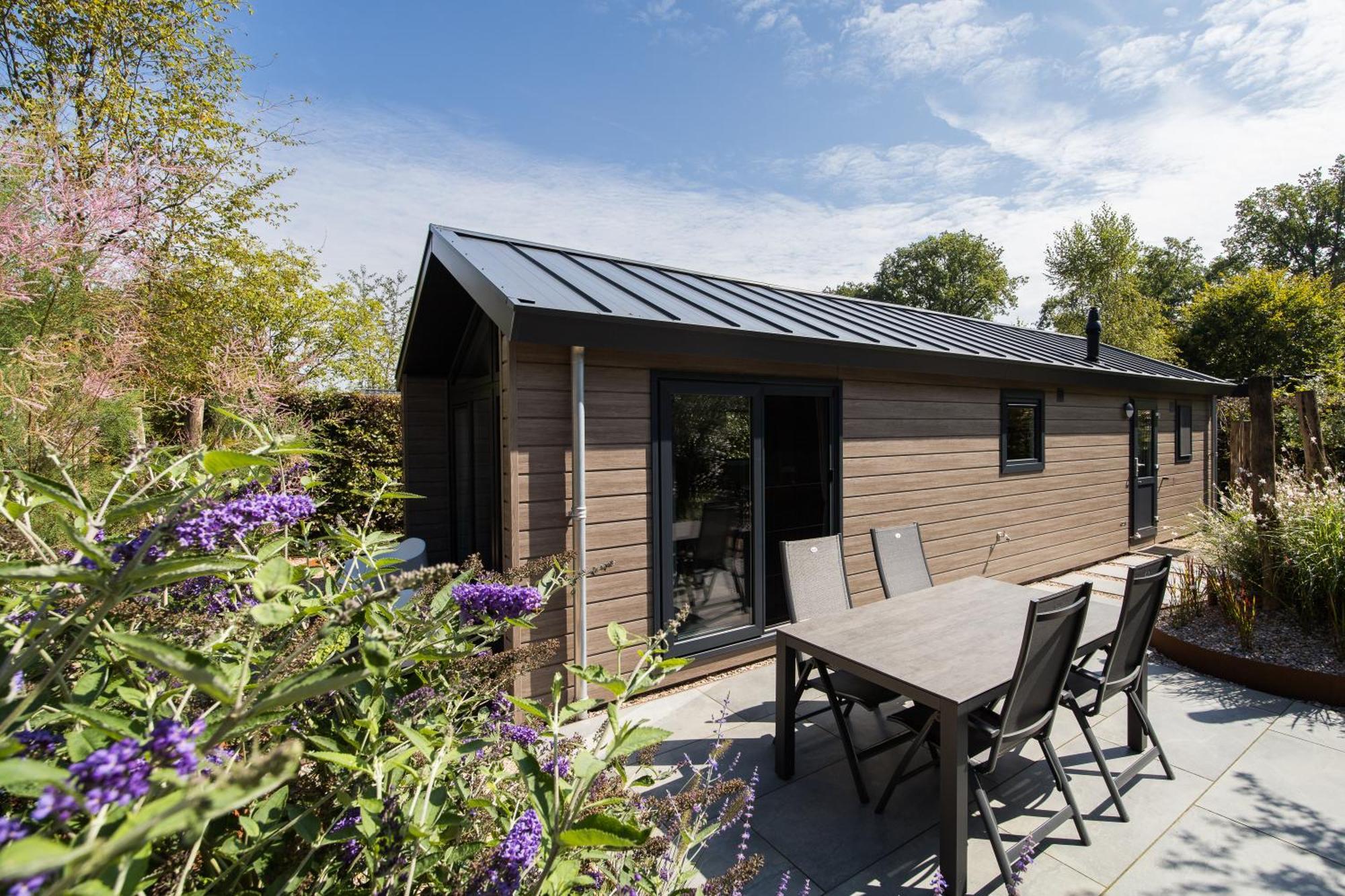 Modern Ingericht Chalet Op Groen Park Op De Veluwe Epe Exterior photo