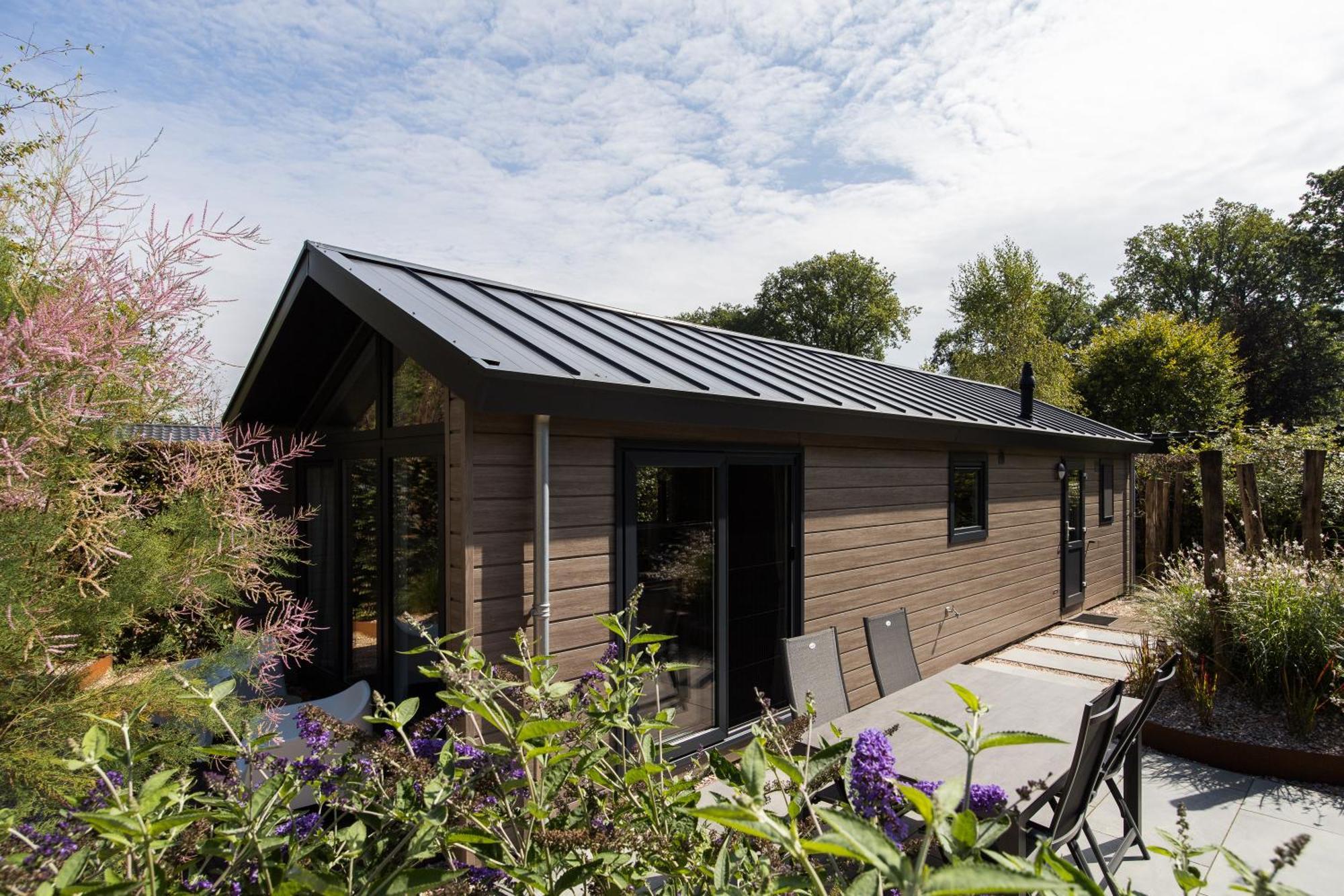 Modern Ingericht Chalet Op Groen Park Op De Veluwe Epe Exterior photo