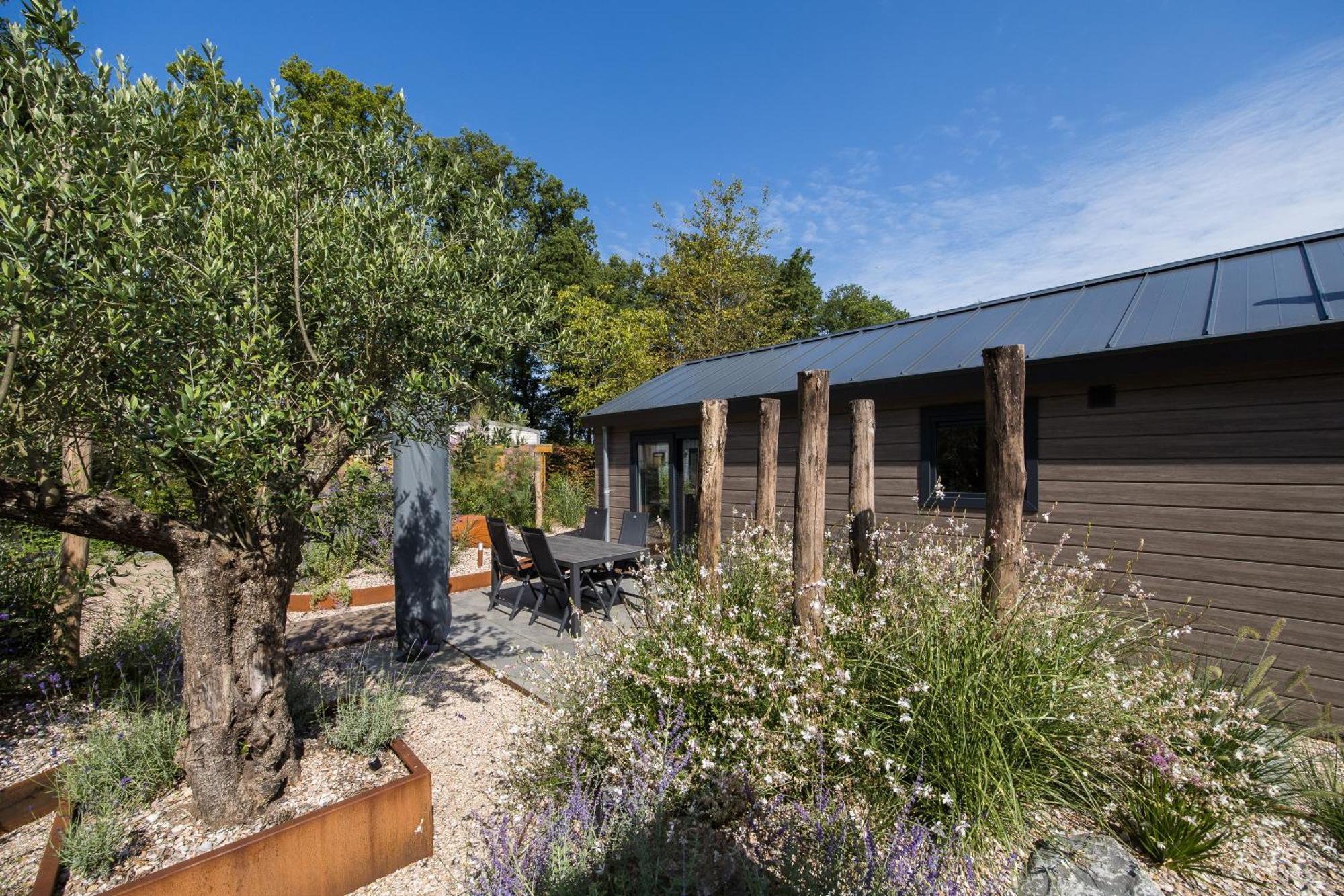 Modern Ingericht Chalet Op Groen Park Op De Veluwe Epe Exterior photo