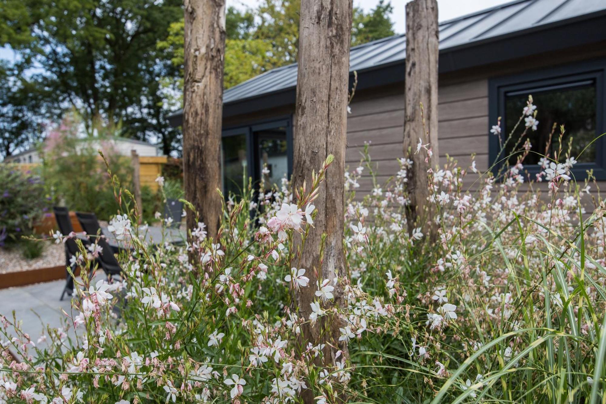 Modern Ingericht Chalet Op Groen Park Op De Veluwe Epe Exterior photo
